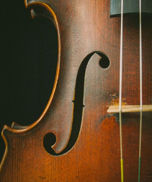 Nahaufnahme einer Violine.